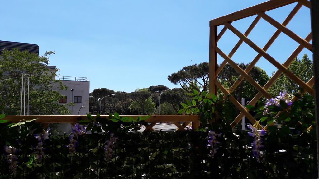 Il Segno In Roma